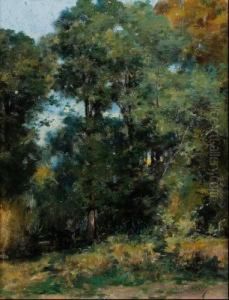 Arboleda by Felix Mestres Borrell