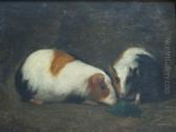 Two Guinea Pigs - view 1