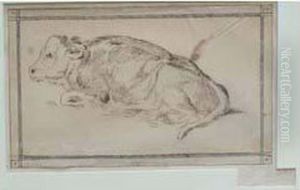 Veau Couche Veau Couche