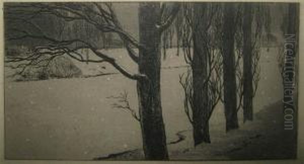 Sneeuwlandschap. - view 1