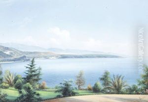 Views Of Monte Carlo by B. Meuris