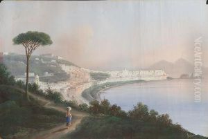 Veduta Del Golfo Di Napoli Veduta Del Golfo Di Napoli