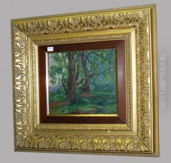 Foret - view 1