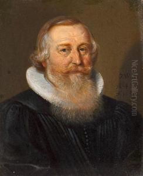 Head And Shoulders Portrait - view 1