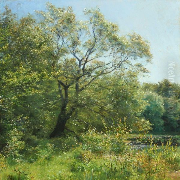 Et Piletrae - view 1