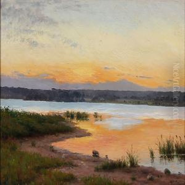 Fiord Landscape At Sunset - view 1