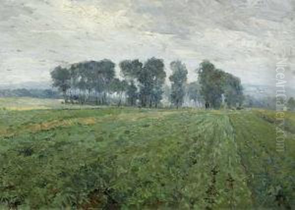 Weite Landschaft - view 1
