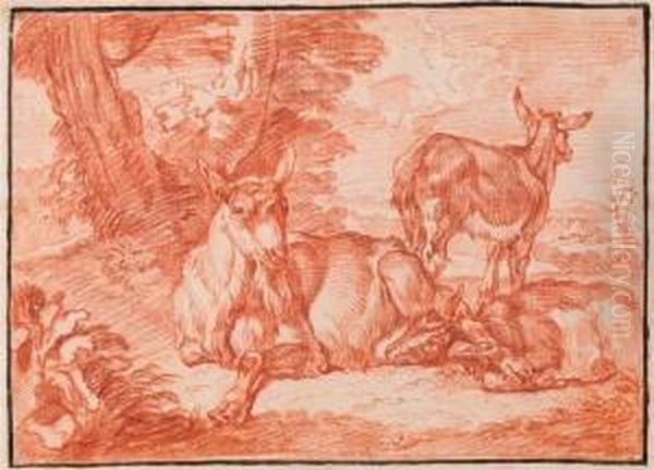 Three Resting Goats. - view 1