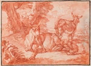 Three Resting Goats.