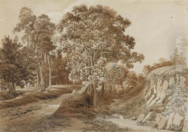 Tree Lined Path. - view 1