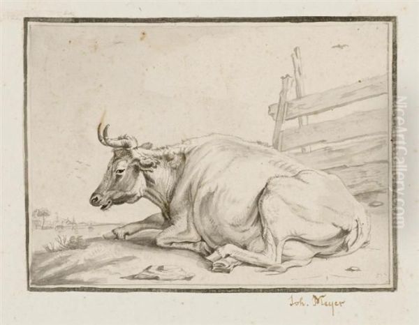 Reclining Cow. - view 1