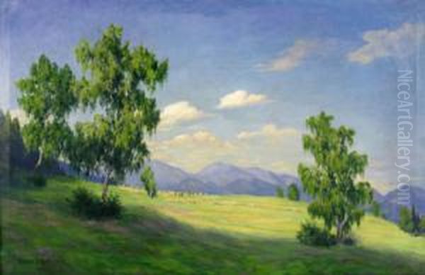 Sommerlandschaft - view 1
