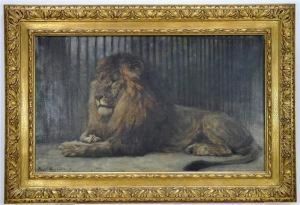 Liegenderlowe by Paul Friedrich Meyerheim