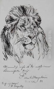Kopf Eines Lowen by Paul Friedrich Meyerheim