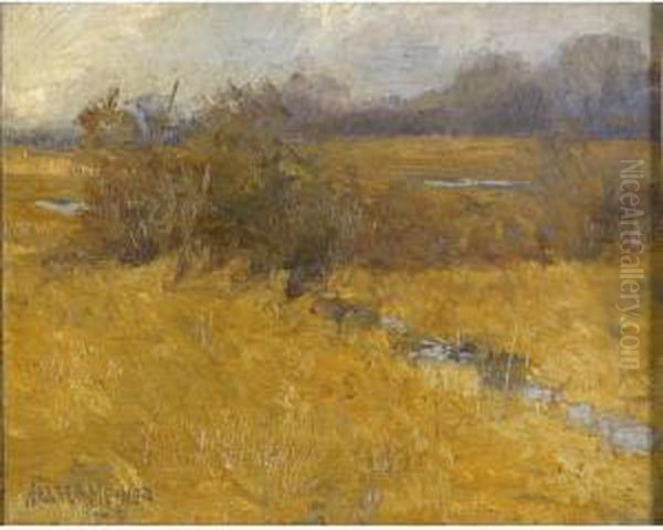 November Marsh - view 1