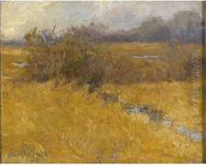 November Marsh