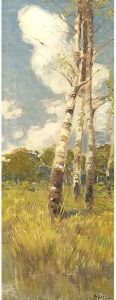 Primavera Nel Bosco by Giuseppe Miceu