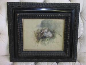Portrait Of A Sheep by Mich
