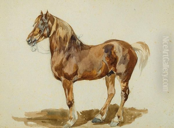 Horse - view 1