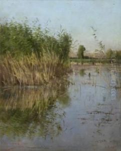 Bouquet De Roseaux Dans Un Marais by Emile Francois Michel