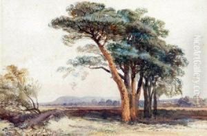 Landscape With Trees by John Middleton