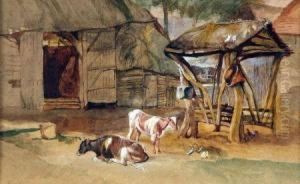 Farmyard With Two Calves