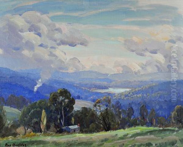 The Bush At Macedon - view 1