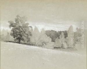 A Pasture And Trees