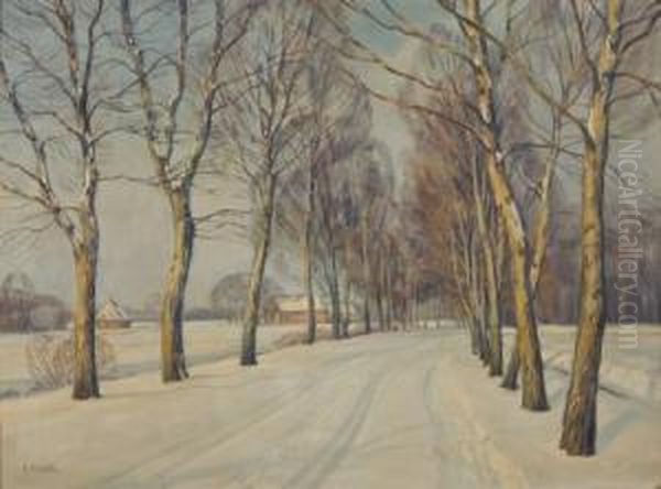 Allee Im Winter - view 1