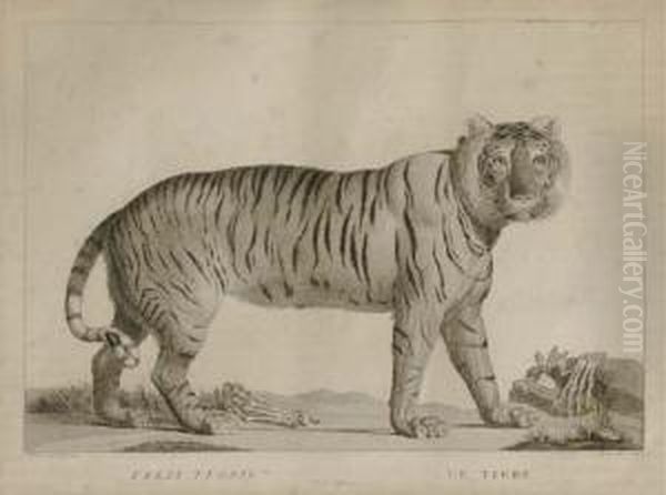 Exotic Animals: Three Plates - view 1