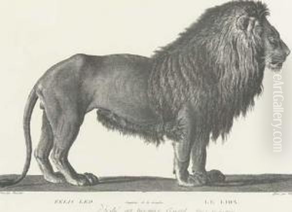 [exotic Animals]: Eight Plates - view 1