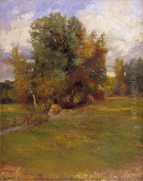 Landscape - view 1