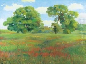 Field Field
