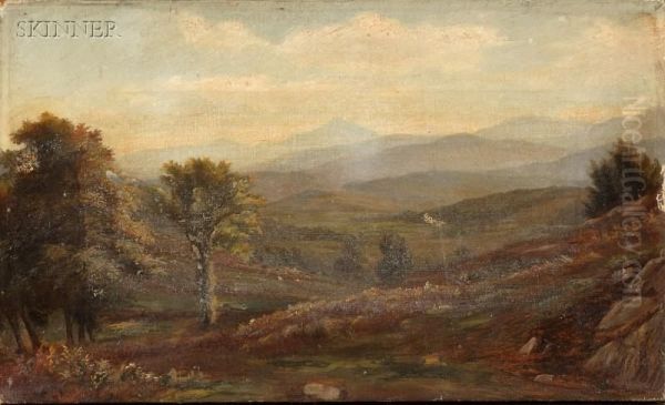 Landscape - view 1
