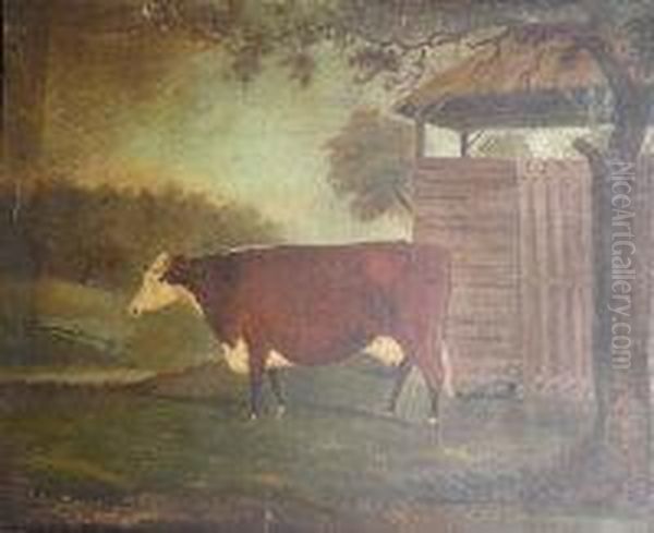 A Prize Hereford Cow In A Landscape - view 1