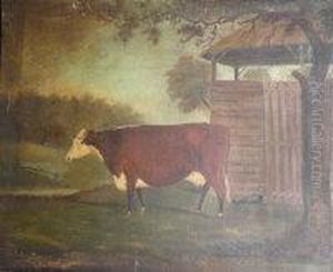 A Prize Hereford Cow In A Landscape by John Miles Of Northleach