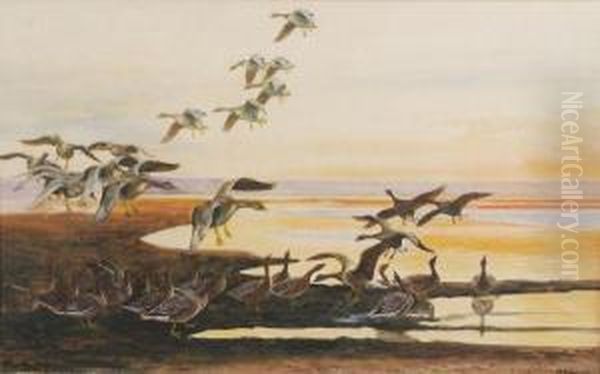 Geese In Flight At Sunset - view 1