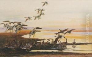 Geese In Flight At Sunset by John Guille Millais