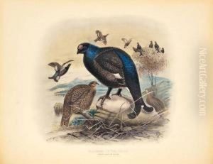 Game Birds And Shooting-sketches by John Guille Millais