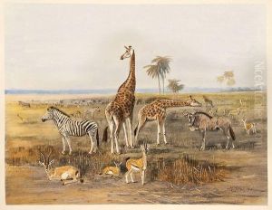 Wild Life In Africa by John Guille Millais