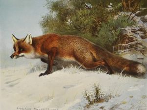 Themammals Of Great Britain And Ireland
