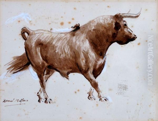 "toro" - view 1