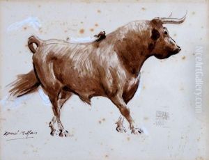 "toro" by H. Raoul Millais