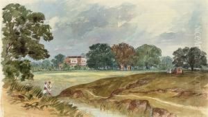 Sketches In India And St Helena