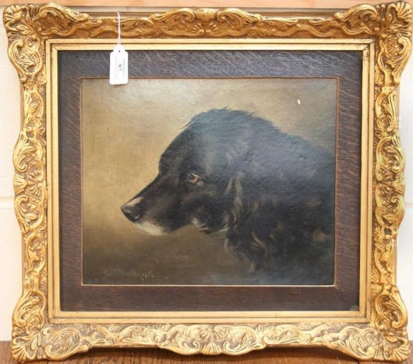 Study Of A Spaniel's Head In Profile - view 1