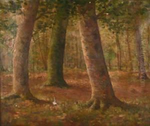 Trees In Forest Clearing by Oscar Miller