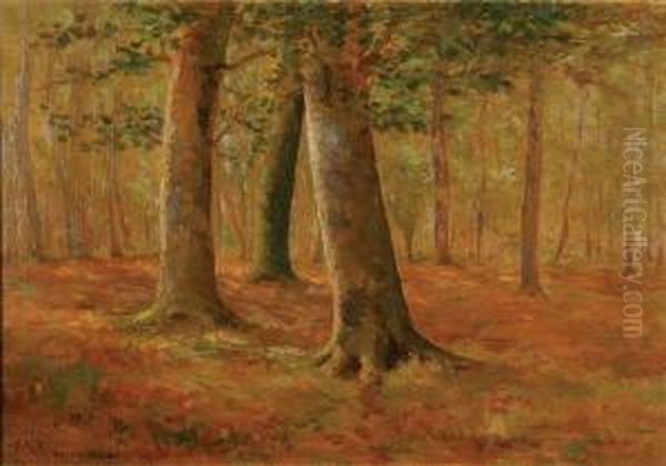 Untitled - view 1