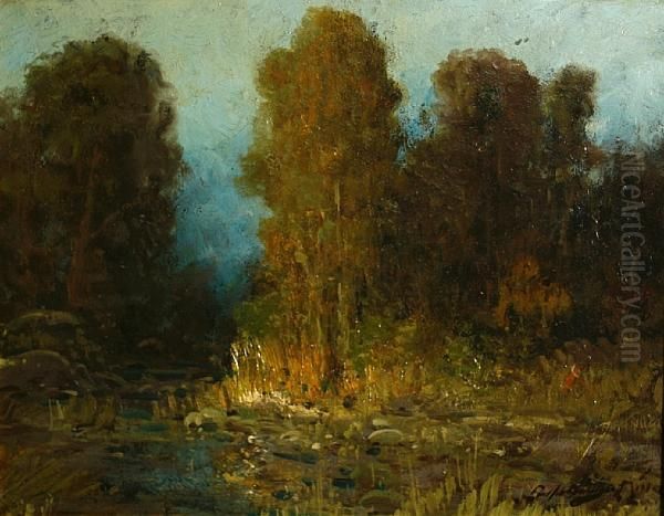 Nocturnal Stream - view 1