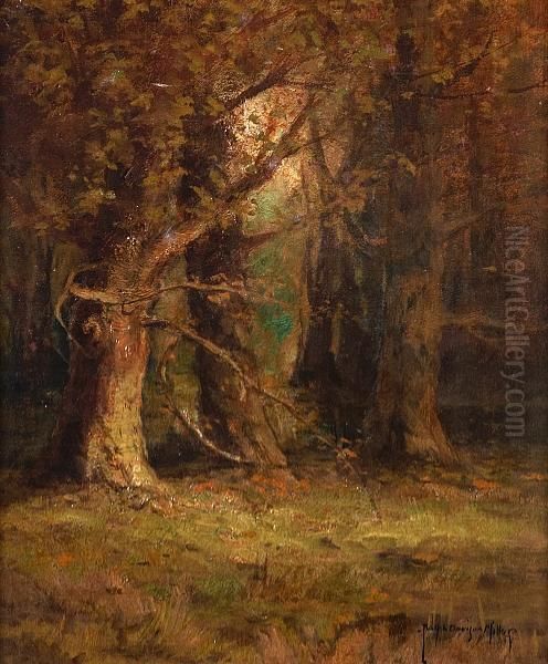 Wooded Landscape - view 1