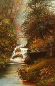 Forest Scene With Cascading Stream by William Miller
